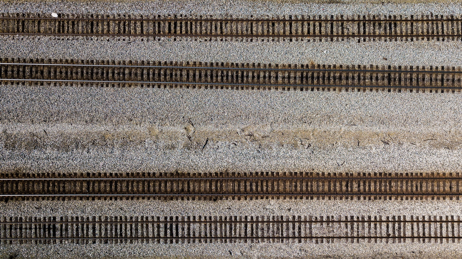 Keep the project on the right track