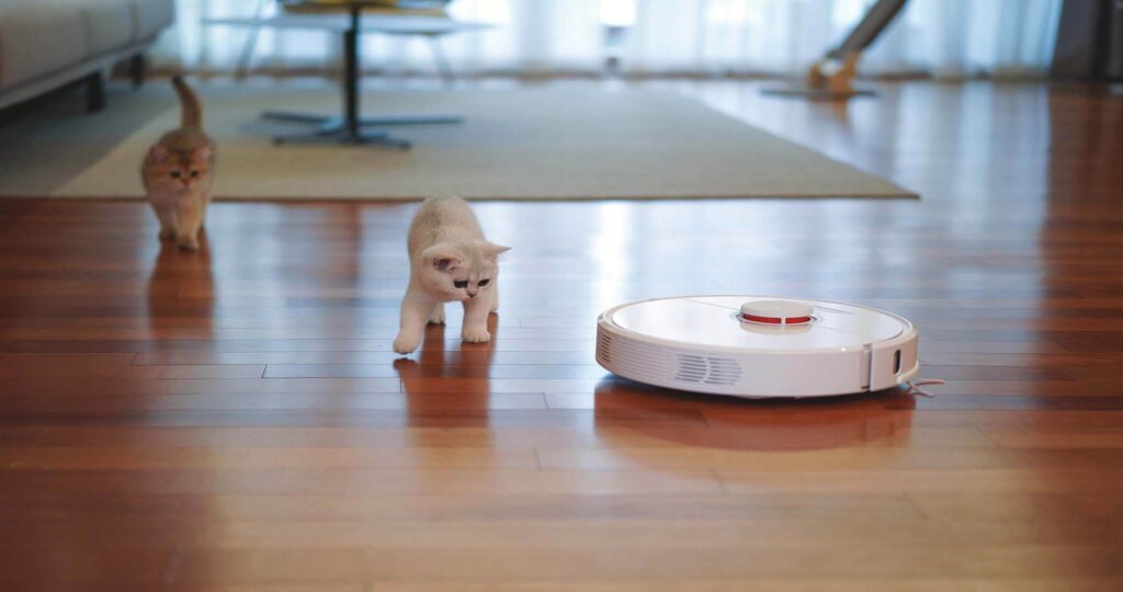 What Is the Difference Between Artificial Intelligence and Machine Learning?