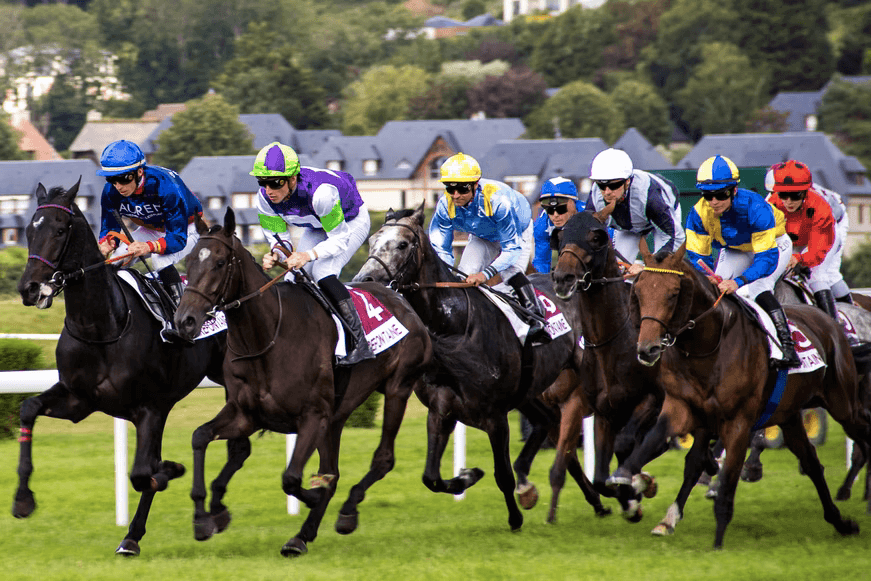 AI in horse racing